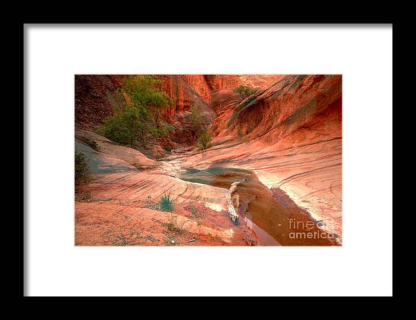 Slot Canyon Framed Print featuring the photograph Drying Out #1 by Adam Jewell