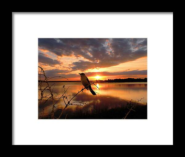 Sunset Framed Print featuring the photograph Enjoying the Sunset by Michele A Loftus