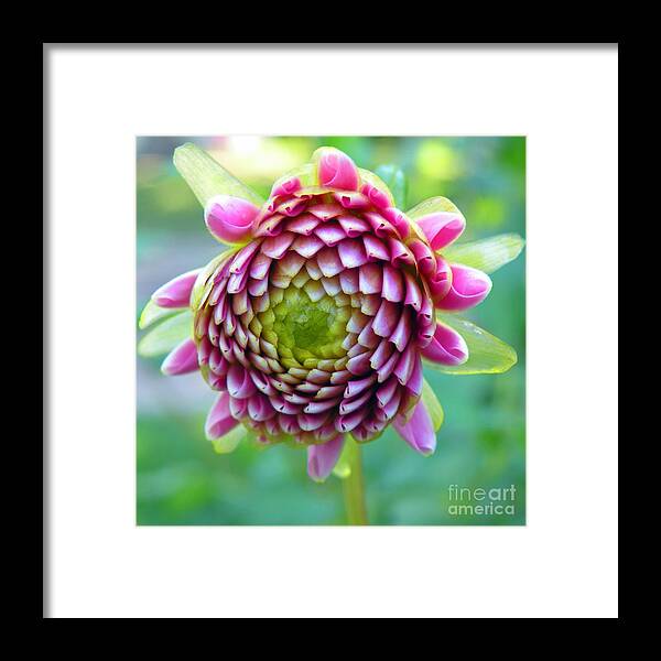 Floral Framed Print featuring the photograph Fabulous Fall #1 by Christine Belt