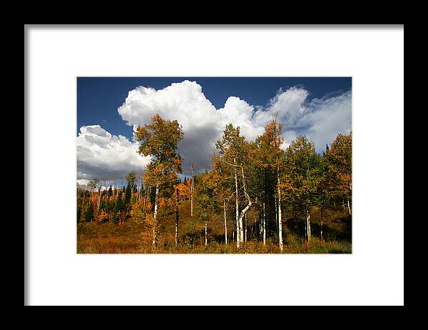 Autumn Framed Print featuring the photograph Fall Colors by Mark Smith