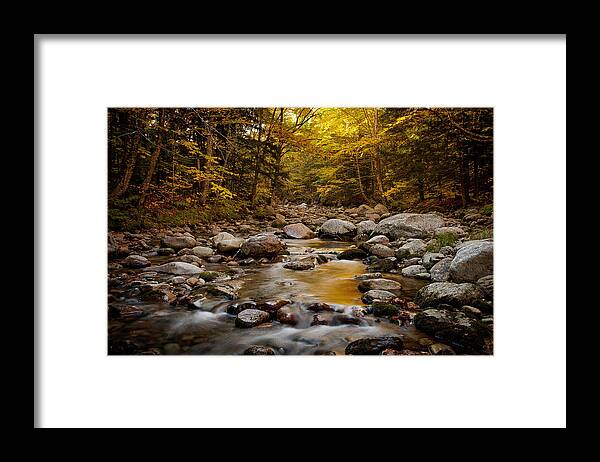 Fall Framed Print featuring the photograph Fall on the Gale River #1 by Benjamin Dahl