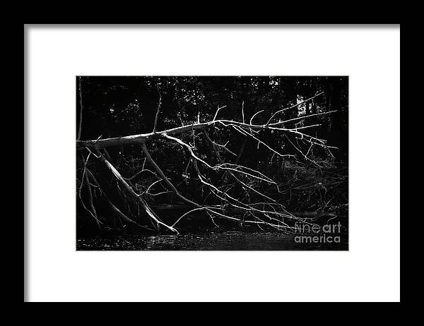 Intense Framed Print featuring the photograph Fallen Warrior #1 by Skip Willits