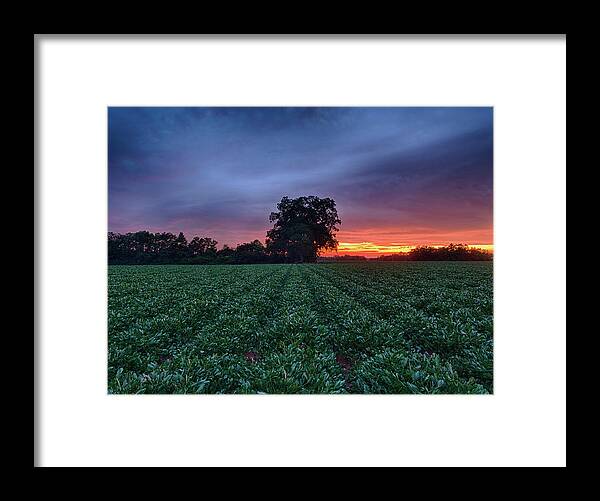 Farm Framed Print featuring the photograph Farm Sunset by Brad Boland