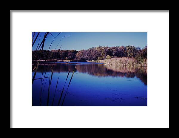 Winterpacht Framed Print featuring the photograph Feeling Blue #1 by Miguel Winterpacht