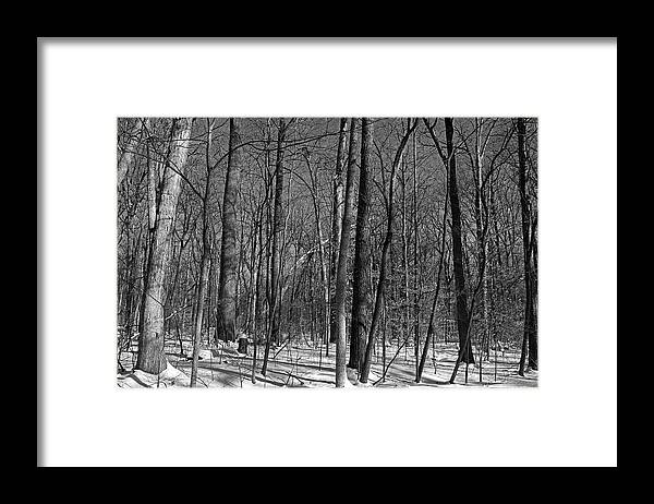 Wildwood Park Framed Print featuring the photograph Final Turn #1 by Michiale Schneider
