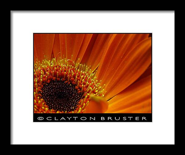 Clay Framed Print featuring the photograph Floral #1 by Clayton Bruster