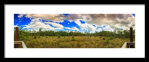 Everglades Framed Print featuring the photograph Florida Everglades #1 by Raul Rodriguez