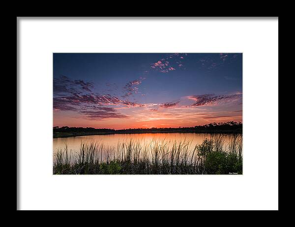Florida Framed Print featuring the photograph Florida Sunset #1 by Fran Gallogly