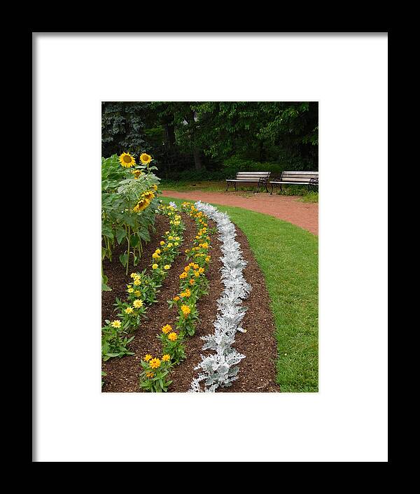 Elizabeth Park Rose Garden Framed Print featuring the photograph Flower Bed #1 by Catherine Gagne