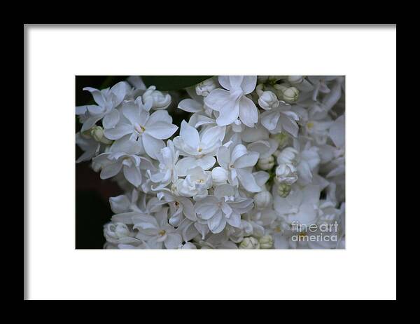 Spring Framed Print featuring the photograph Flowers #1 by Deena Withycombe