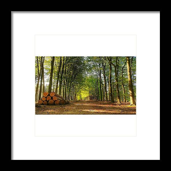 Wald Framed Print featuring the photograph #forest #wald #bos Near #lagevuursche #1 by Steven Brink