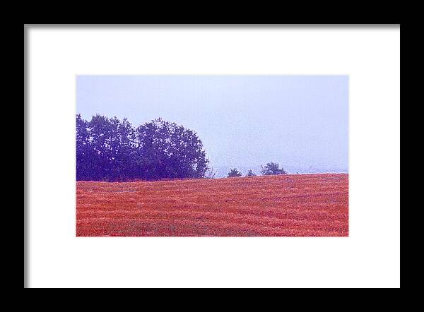 Landscape Framed Print featuring the photograph Freshly Cut Hay AE #1 by Lyle Crump