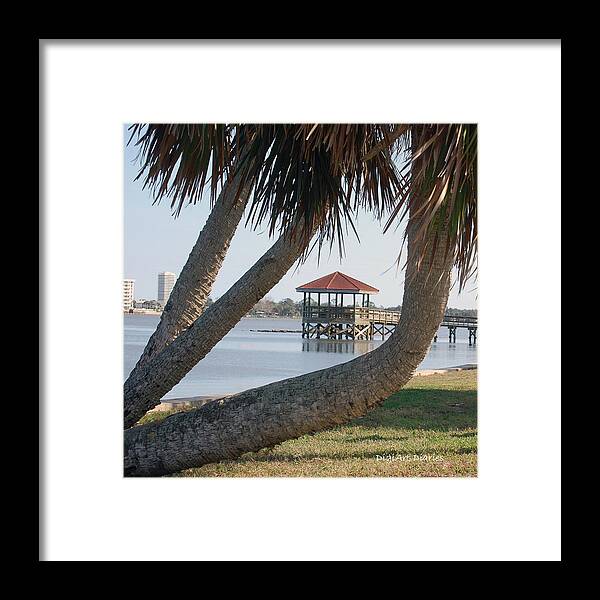 Dock Framed Print featuring the digital art Gazebo Dock Framed by Leaning Palms #1 by DigiArt Diaries by Vicky B Fuller