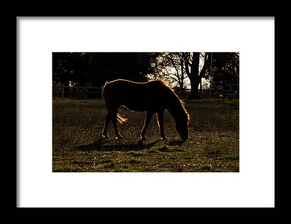 Jay Stockhaus Framed Print featuring the photograph Glowing #1 by Jay Stockhaus