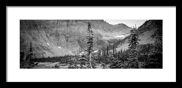 Alex Blondeau Framed Print featuring the photograph Gnarled Pines #1 by Alex Blondeau