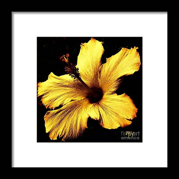Photo Framed Print featuring the digital art Golden Hibiscus #1 by Marsha Heiken