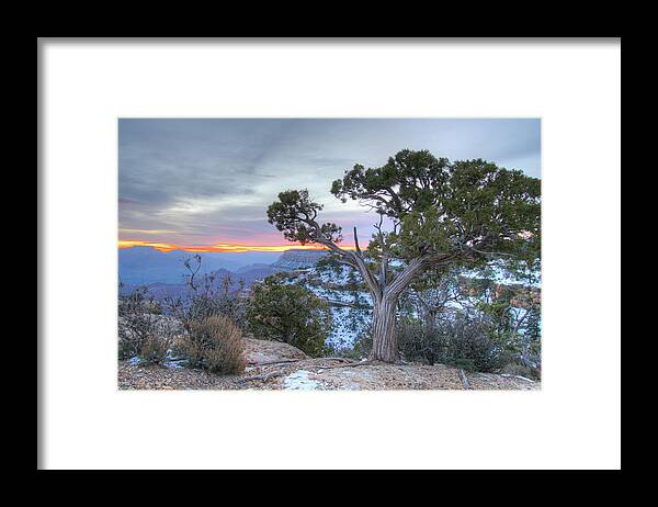 Grand Canyon Framed Print featuring the photograph Grand Canyon #1 by Greg Smith
