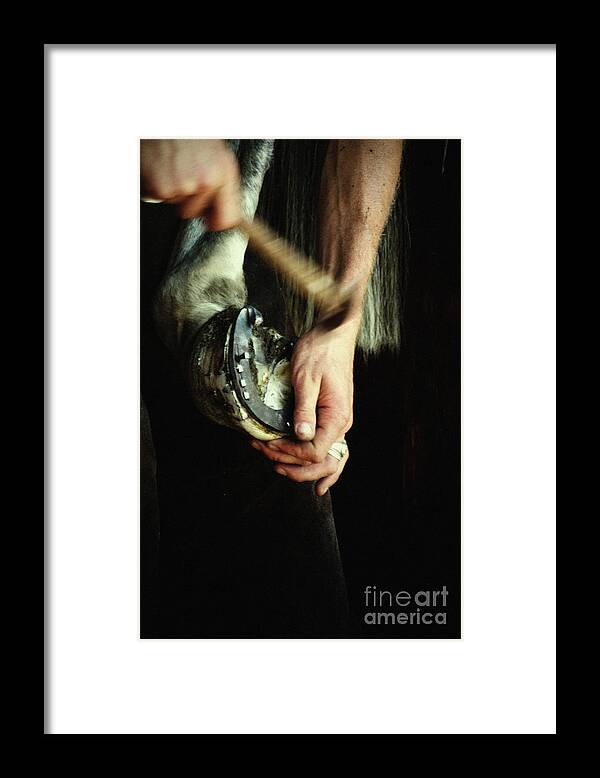 Horse Framed Print featuring the photograph Hammering the horseshoe - Horse photography by Dimitar Hristov