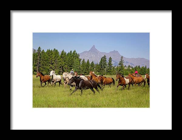 Horses Framed Print featuring the photograph Head em up Move em out #1 by Jack Bell