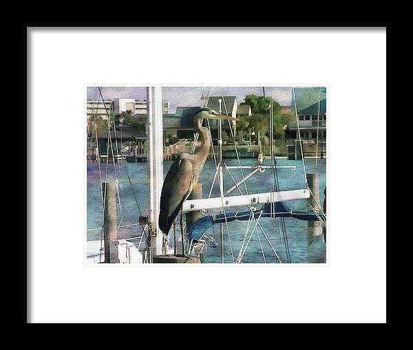 Heron Framed Print featuring the photograph Heron's Yacht #1 by Margie Wildblood