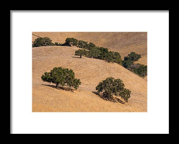 Carmel Valley Framed Print featuring the photograph Hillside Oaks by Derek Dean