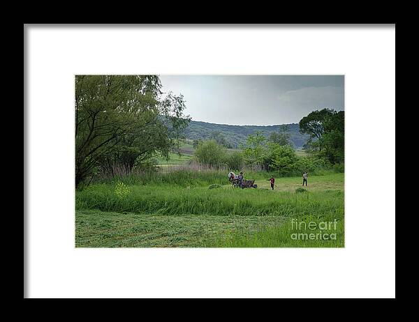 Malancrav Framed Print featuring the photograph Horsedrawn Haycart, Transylvania 2 by Perry Rodriguez