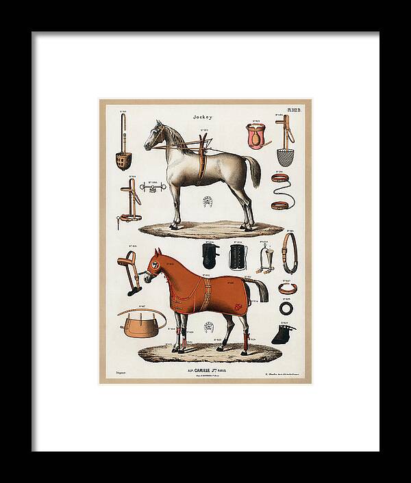 Accessory Framed Print featuring the drawing Horses with antique horseback riding equipments by Vincent Monozlay
