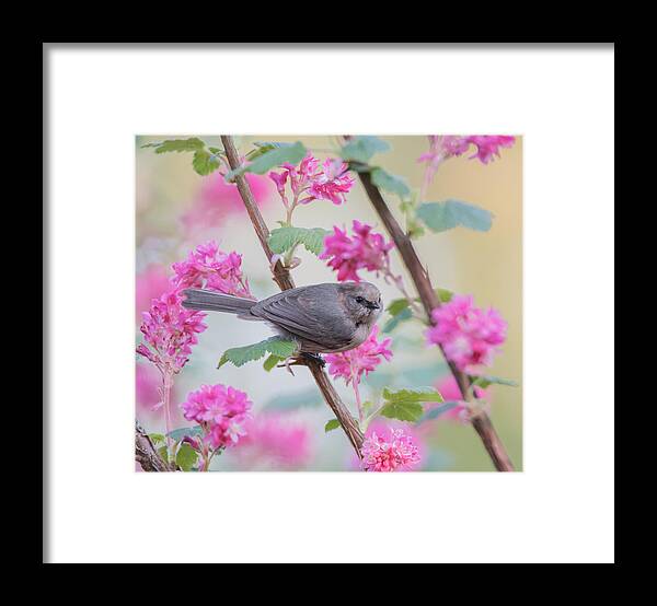 Pink Framed Print featuring the photograph In the Pink #2 by Angie Vogel
