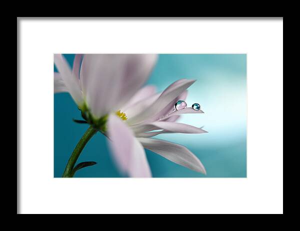 Flower Framed Print featuring the photograph In Turquoise Company by Heidi Westum
