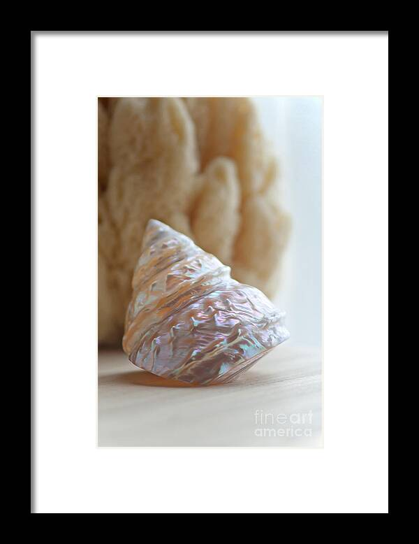 Shell Framed Print featuring the photograph Iridescent #2 by Aiolos Greek Collections