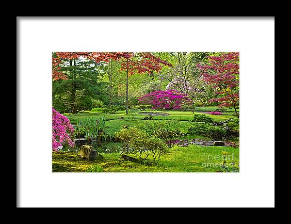 Japanese Framed Print featuring the photograph Japanese garden #2 by Anastasy Yarmolovich