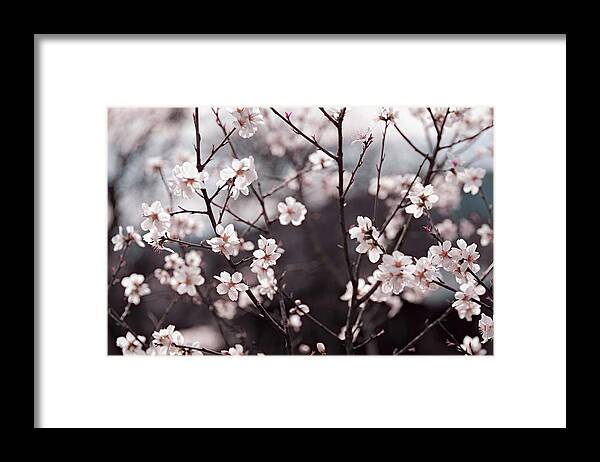 Jenny Rainbow Fine Art Photography Framed Print featuring the photograph Joy of Spring #1 by Jenny Rainbow