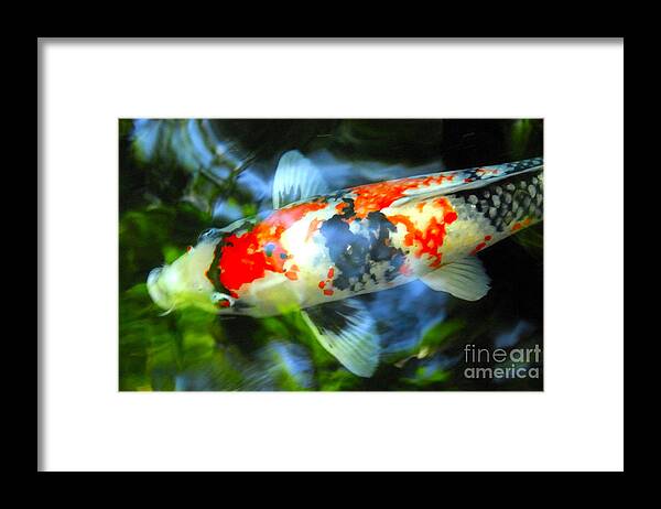 Koi Framed Print featuring the photograph Koi #1 by Marc Bittan