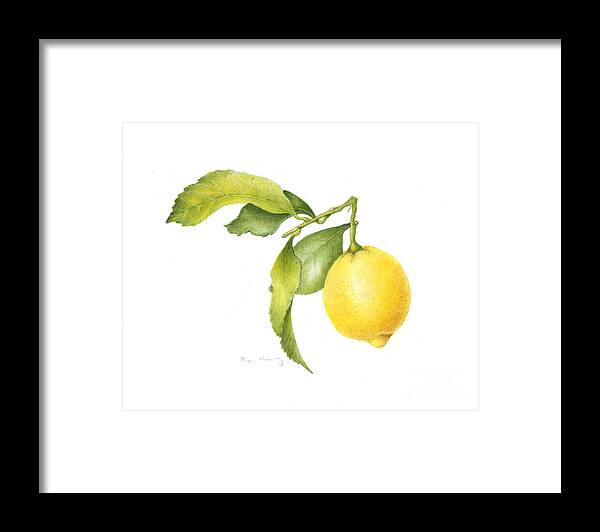 Lemon Framed Print featuring the painting Lemon #1 by Fran Henig