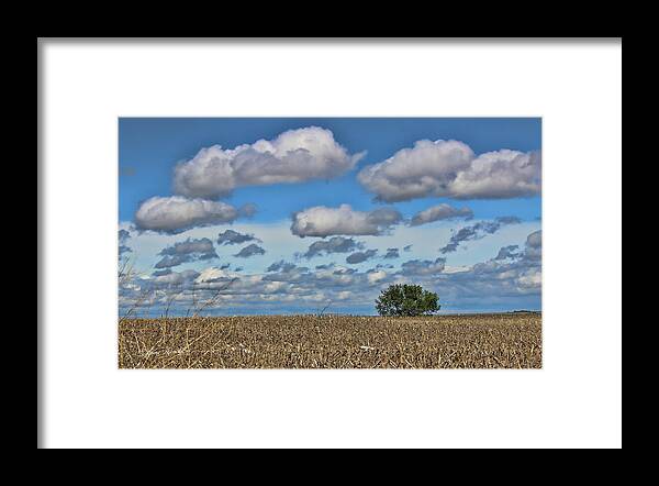 For Spacious Skies Framed Print featuring the photograph Lone Tree #1 by Sylvia Thornton