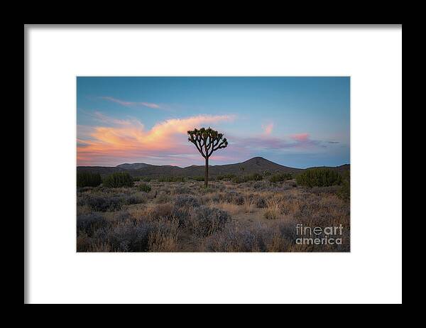 Desert Sunset Framed Print featuring the photograph Lonely Joshua Tree Sunset #1 by Michael Ver Sprill