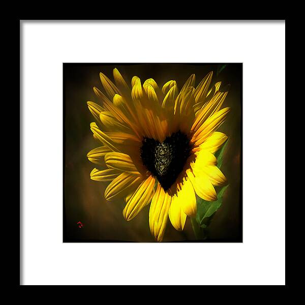 Flower Framed Print featuring the painting Love Sunflower #1 by Adam Vance