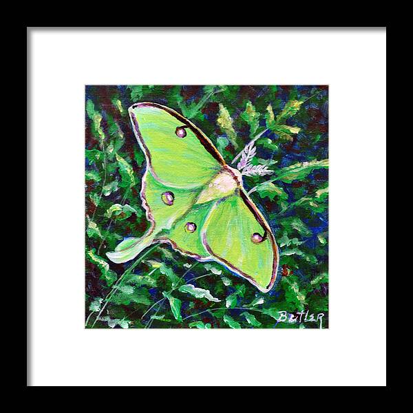 Nature Moth Insect Wings Green Luna Framed Print featuring the painting Luna Moth #1 by Gail Butler