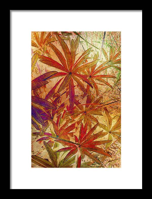 Lupin Framed Print featuring the photograph Lupin Leaves #1 by WB Johnston