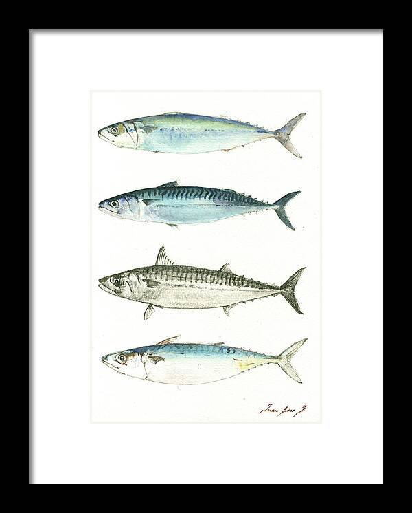Mackerel Framed Print featuring the painting Mackerel fishes #2 by Juan Bosco