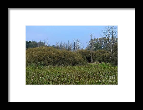Marshland Framed Print featuring the photograph Marschland Landscape by Dariusz Gudowicz