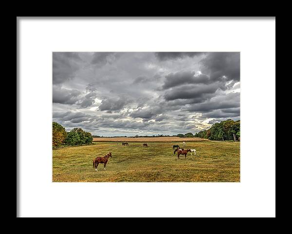 Horses Framed Print featuring the photograph Maryland Pastures #1 by Patrick Wolf