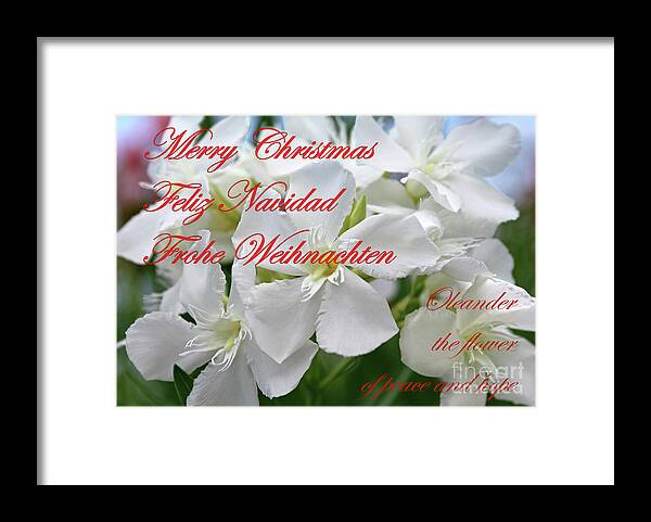 Oleander Framed Print featuring the photograph Merry Christmas #1 by Wilhelm Hufnagl