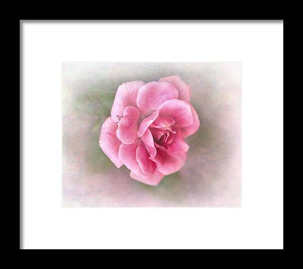 Bloom Framed Print featuring the photograph Miniature Rose II #1 by David and Carol Kelly