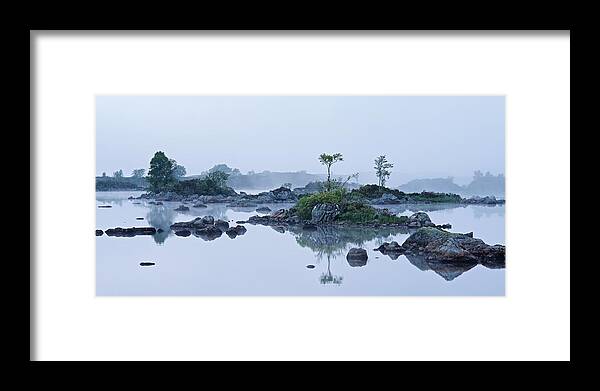 Black Mount Framed Print featuring the photograph Mist and trees #1 by Stephen Taylor