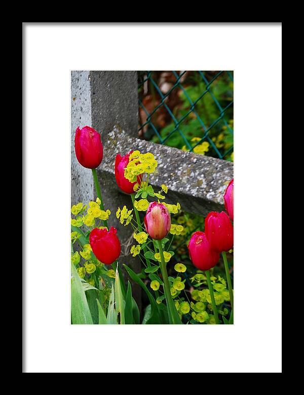 Giverny France Framed Print featuring the photograph Monet #1 by Nancy Bradley