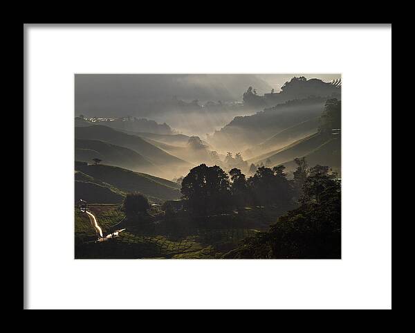 Sunrise Framed Print featuring the photograph Morning at Cameron Highlands #1 by Ng Hock How