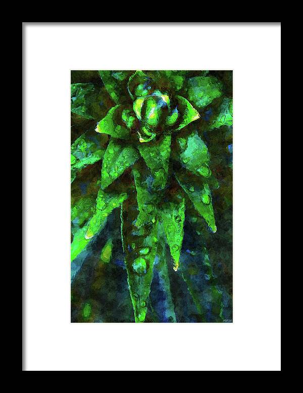 Plant Framed Print featuring the photograph Morning Dew On Plant #1 by Phil Perkins