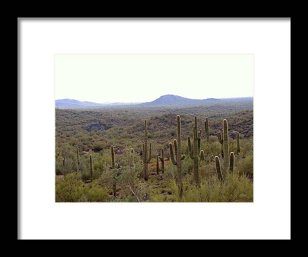 Sonoran Framed Print featuring the photograph Morning Light #2 by Gordon Beck