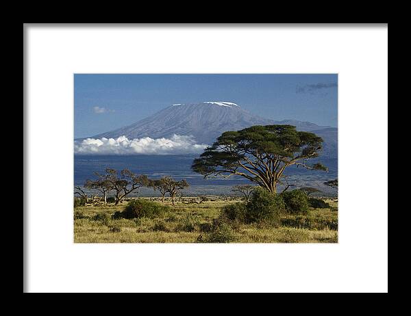 Africa Framed Print featuring the photograph Mount Kilimanjaro by Michele Burgess